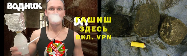 ПСИЛОЦИБИНОВЫЕ ГРИБЫ Козловка