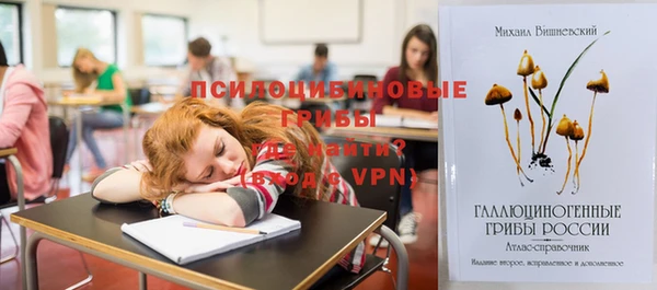 сатива Кодинск