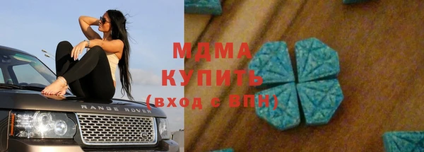 крисы Корсаков