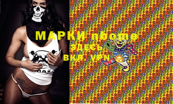 ПСИЛОЦИБИНОВЫЕ ГРИБЫ Козловка