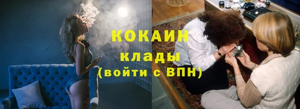 сатива Кодинск
