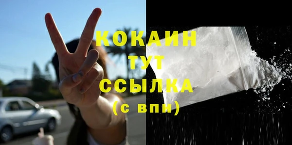 ПСИЛОЦИБИНОВЫЕ ГРИБЫ Козловка