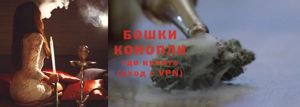 ПСИЛОЦИБИНОВЫЕ ГРИБЫ Козловка