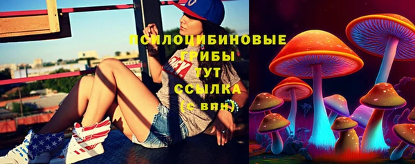 ПСИЛОЦИБИНОВЫЕ ГРИБЫ Козловка