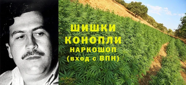 ПСИЛОЦИБИНОВЫЕ ГРИБЫ Козловка