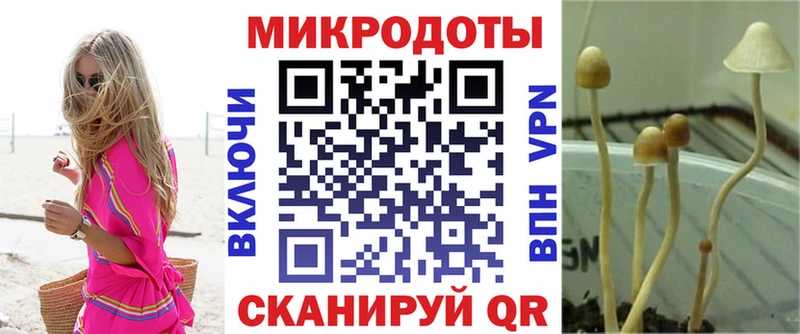 Псилоцибиновые грибы прущие грибы  Купить  Лукоянов 